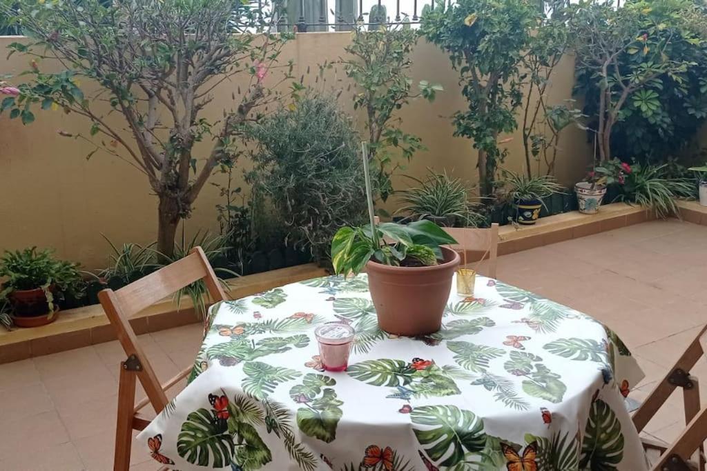Casa El Sentir Lejlighed Sauzal Eksteriør billede